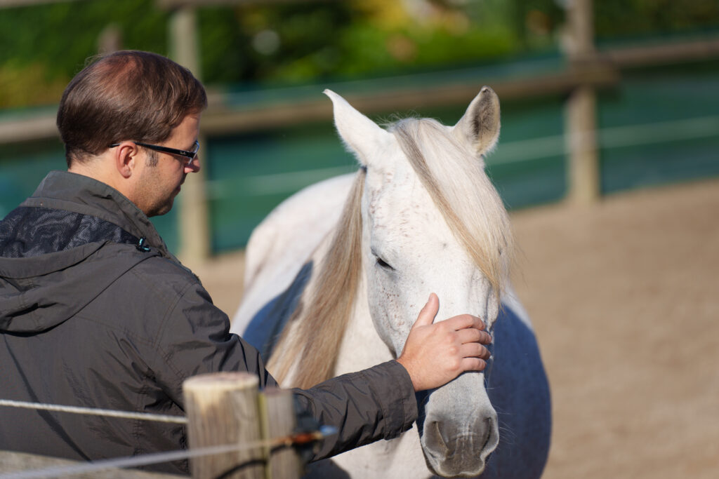 Pferdegestütztes Coaching und Teambuilding