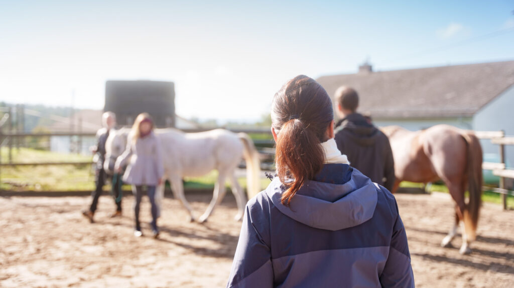 Pferdegestütztes Coaching und Teambuilding