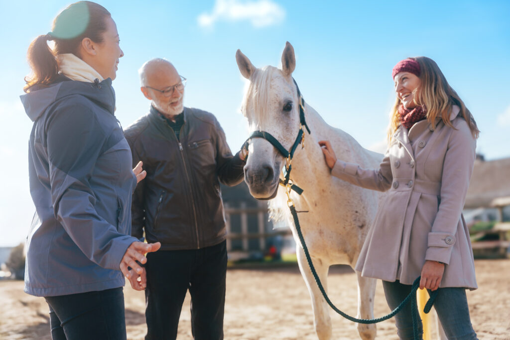 Pferdegestütztes Coaching und Teambuilding